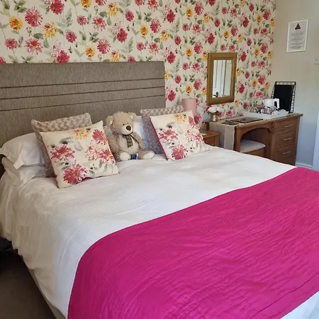 Montfort Guest house 4*